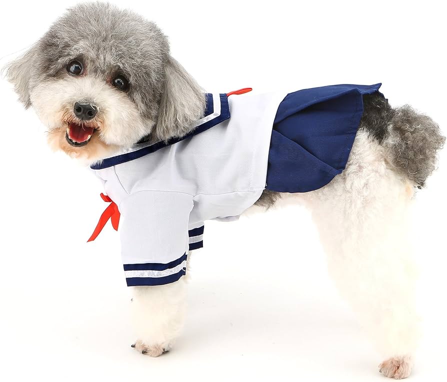 ハンドメイド　犬の服 楽天市場】グンゼ ドッグウェア 小型犬 綿100% キッキーニット 犬服